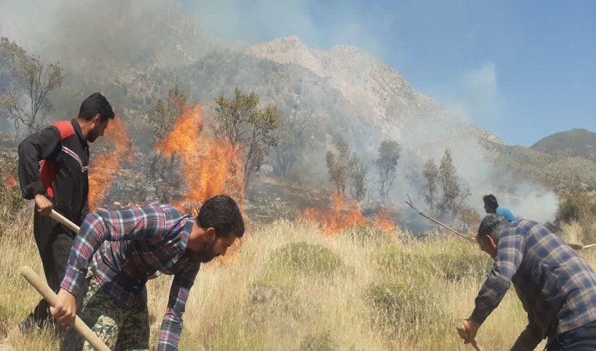 حریق در عرصه های طبیعی دهبکری 