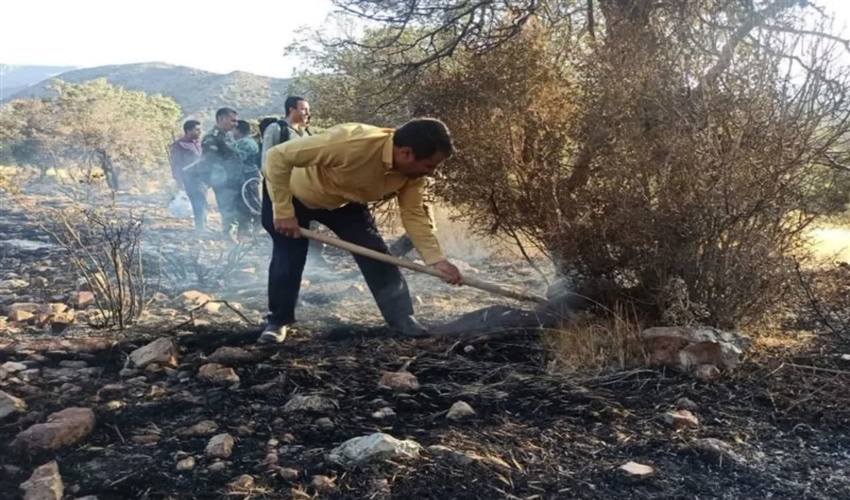 آسیب جدی آتش‌سوزی به جنگل‌های ‌دهبکری‌/ علت ‌چه بود؟