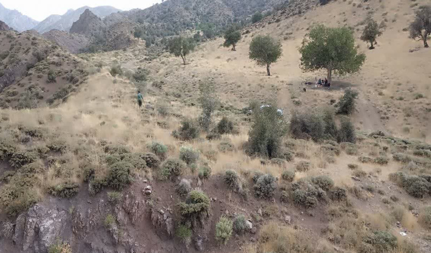 تشکیل اکیپ های مشترک پاسگاه های ویژه حفاظت منابع طبیعی و تشدید اقدامات حفاظتی 