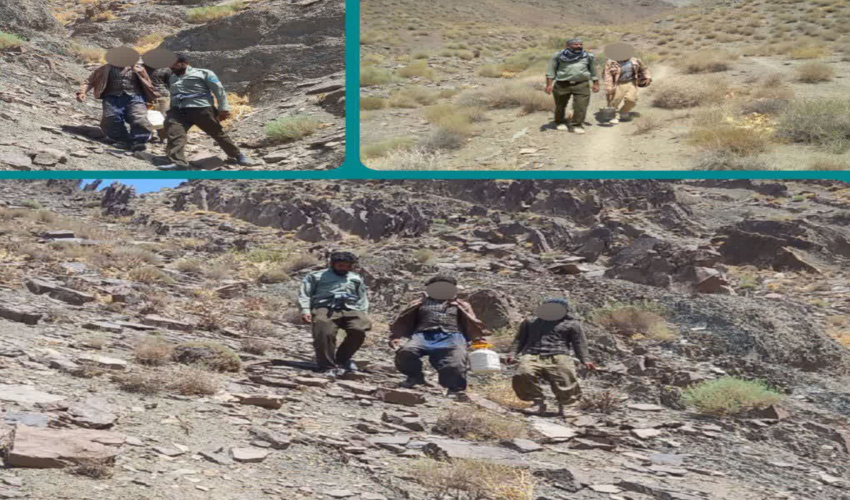 مصدومیت فرمانده پاسگاه ویژه منابع طبیعی شهرستان راور در برخورد با بهره برداران غیر مجاز گیاه دارویی آنغوزه