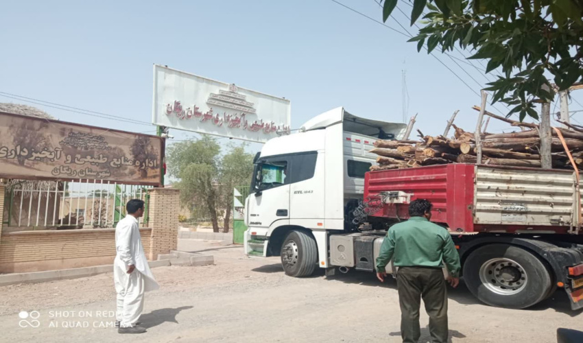 کشف و ضبط 26 تن چوب قاچاق در محور مواصلاتی زاهدان به کرمان 