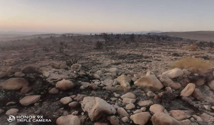 چهارگنبد و پاریز مناطق بحرانی  سیرجان