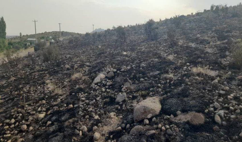 بیش از 3 هزار متر مربع از اراضی گوغر طعمه حریق شد