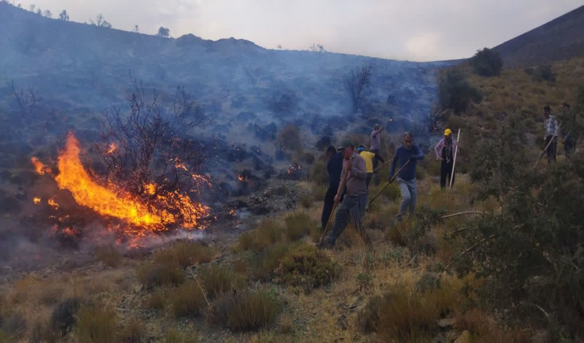 7 ساعت تلاش نفس گیر برای نجات مراتع میمند