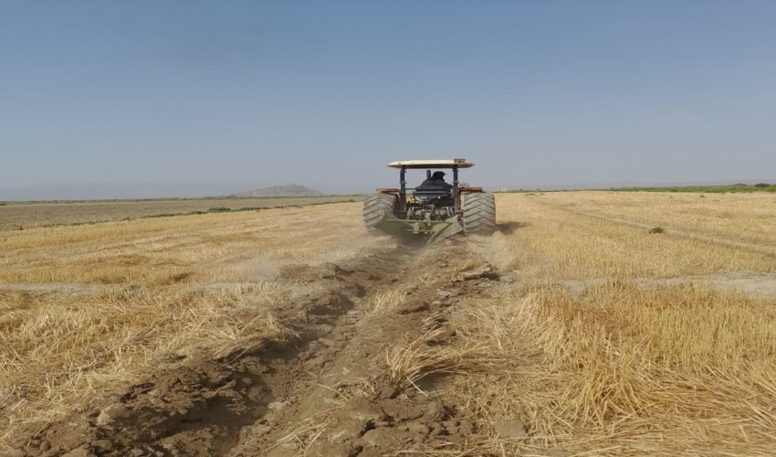 رفع تصرف از 390 هزار متر مربع اراضی ملی شهرستان ارزوئیه