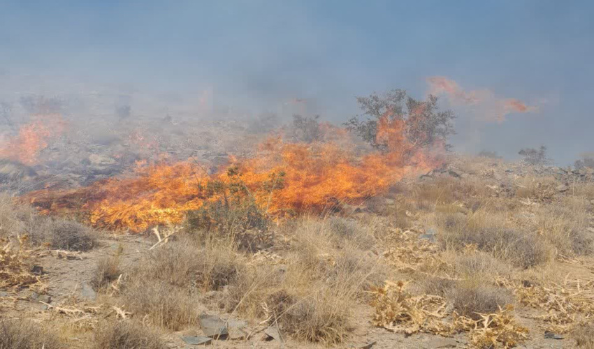 29 هکتار از جنگل ها و مراتع شهربابک طعمه حریق شد