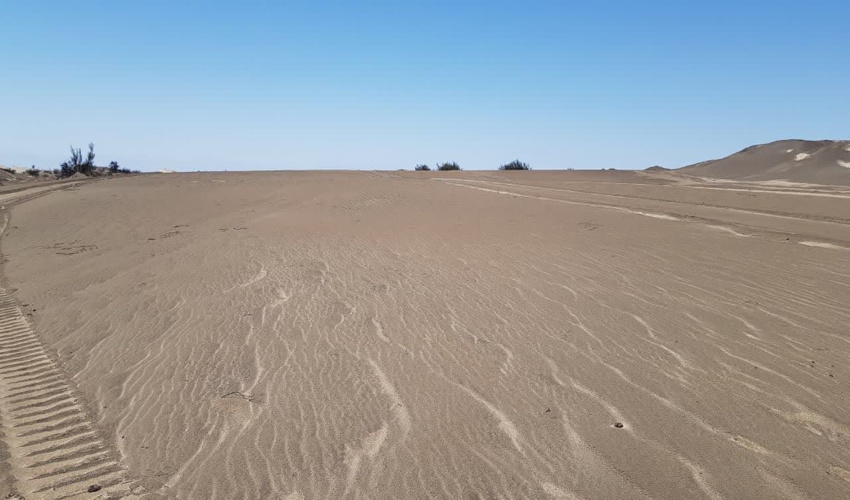 از 17 شهرستان استان کرمان 14شهرستان بیابانی یا در شرف بیابانی شدن است