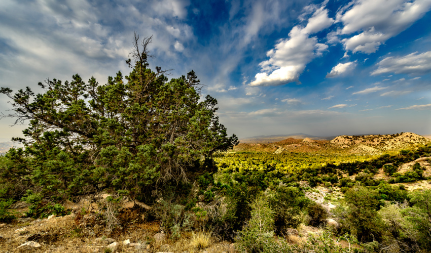 اُرس نماد جاودانگی و نامیرایی