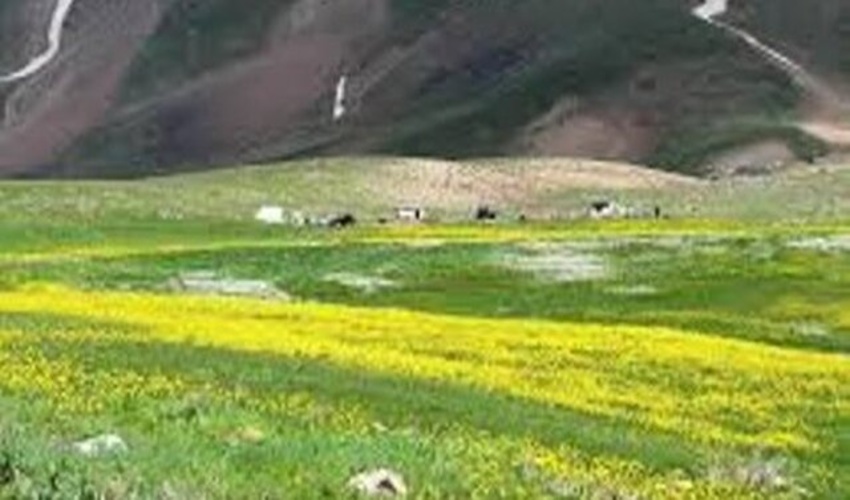 حفاظت و افزایش توان تولیدی مراتع با مشارکت جوامع محلی/احاله ۲ طرح مرتع‌داری در کرمان