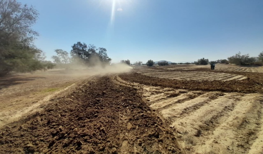 رفع تصرف 17 هکتار از اراضی ملی ارزوئیه