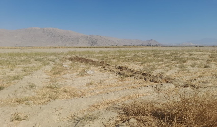 رفع تصرف 15 هکتار از اراضی ملی ارزوئیه