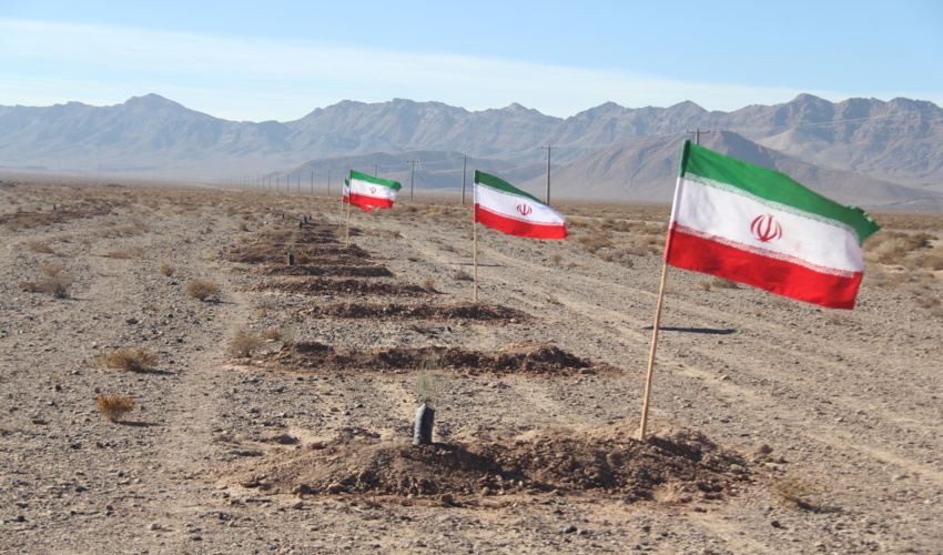 پویش درختکاری در سایه مادر