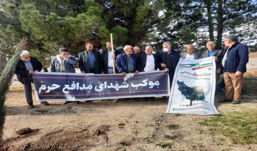 کاشت درخت به مناسبت روز پدر در سیرجان