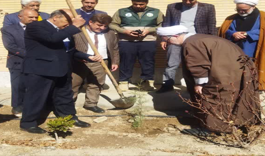 برگزاری پویش نهالکاری به مناسبت دهه فجر در شهرستان رابر 