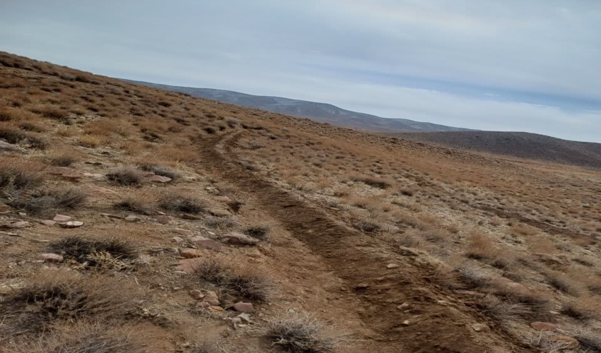 آغاز اجرای پروژه بیومکانیک در سطح 200هکتار از مراتع سیرجان