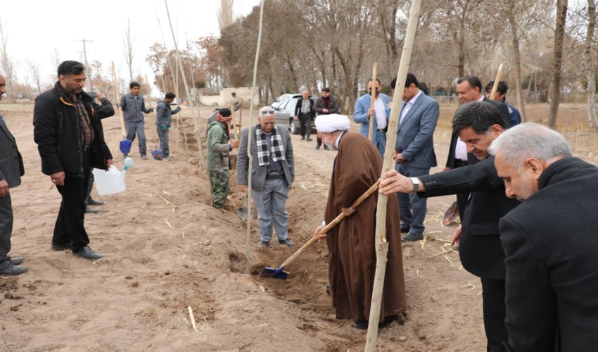 کاشت درخت بجای مجازات جایگزین حبس