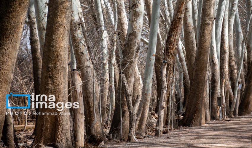 صف‌آرایی مقابل هیولای کویر در کرمان