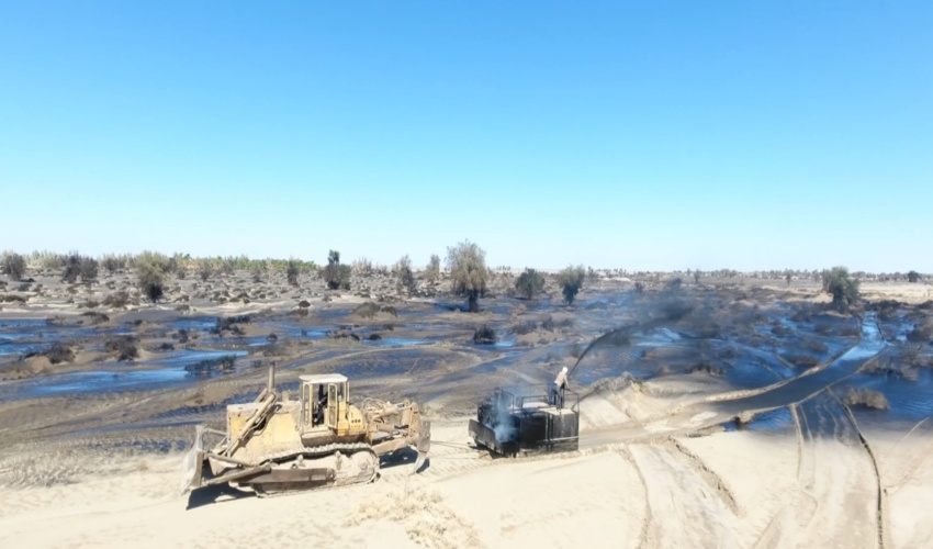 پوشش گیاهی سپری در برابر ریزگردها