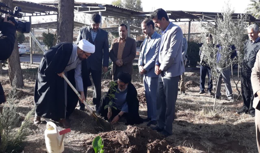 توسعه درختکاری، مؤثرترین راهکار ترسیب کربن و مقابله با تغییرات اقلیمی