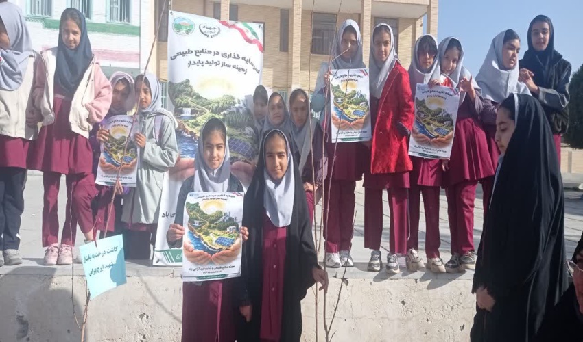 «شجره طیبه»؛ درختی که از دل بافت، یاد مظلومیت میناب را زنده نگه می دارد