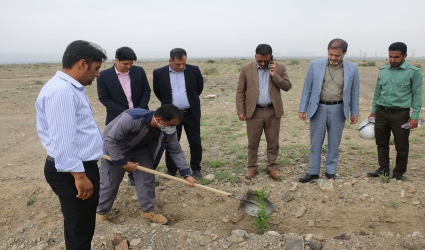 آغاز طرح جنگل‌کاری با مشارکت بخش خصوصی در روستای دولت‌آباد ارزوئیه