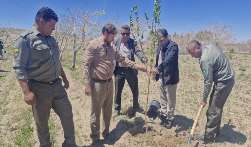 مشارکت منابع طبیعی و مجتمع مس سرچشمه در اجرای پویش سرو ایران