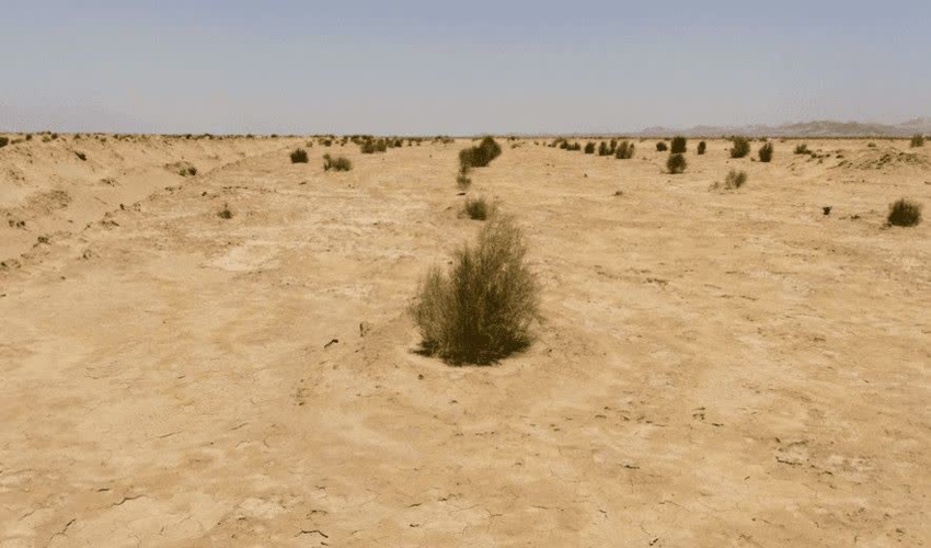 احیای ۱۷۵۰ هکتار بیابان در زرند با اجرای طرح‌های بیابان‌زدایی