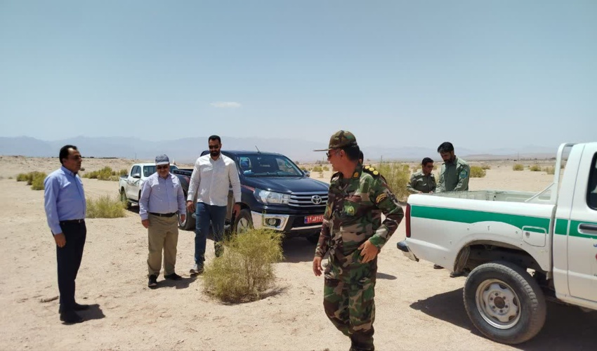 ۱۲۰۰ تیم عملیاتی در خط مقدم حفاظت از جنگل ها و مراتع